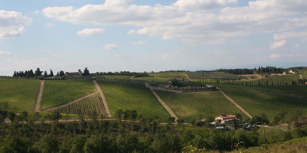 Il Vichiaccio Country House 因普鲁内塔 外观 照片